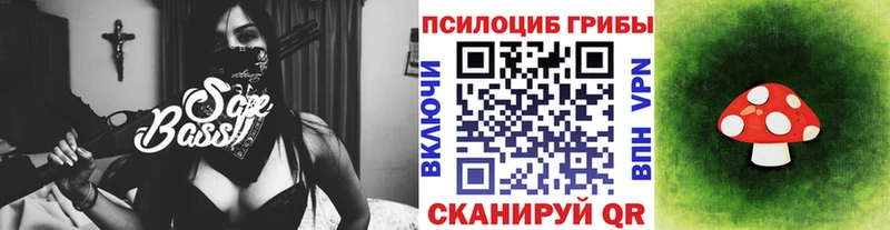 Галлюциногенные грибы Psilocybine cubensis  Осташков 