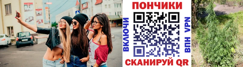 Каннабис семена Осташков